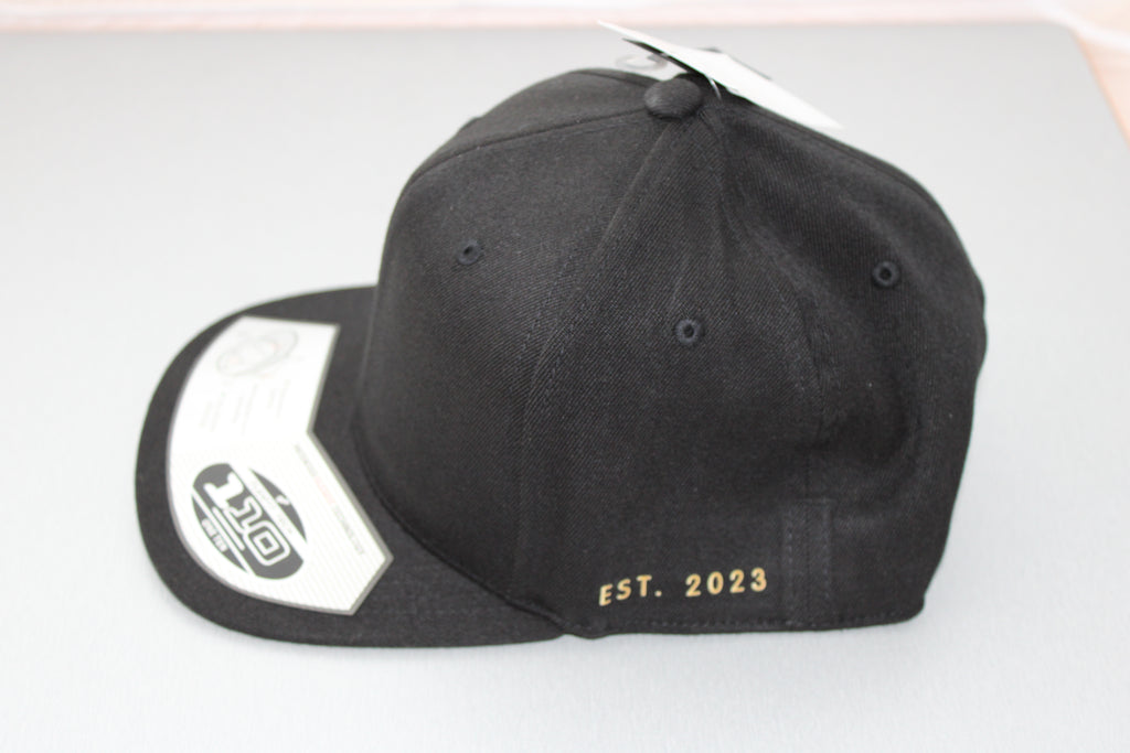 MFX Snapback Kappe Fitted / schwarz
